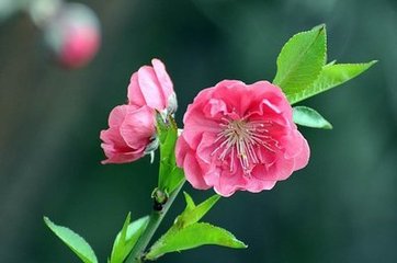 西安交通大學(xué)威海校友會到訪中都，參觀交流