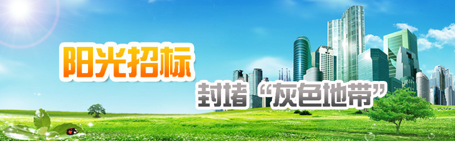 集團(tuán)公司采購(gòu)領(lǐng)導(dǎo)小組召開2017年第一次會(huì)議